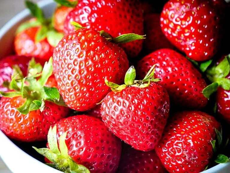 Can Schnauzers Eat Strawberries? Unraveling the Berry Truth